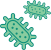 Bacteria
